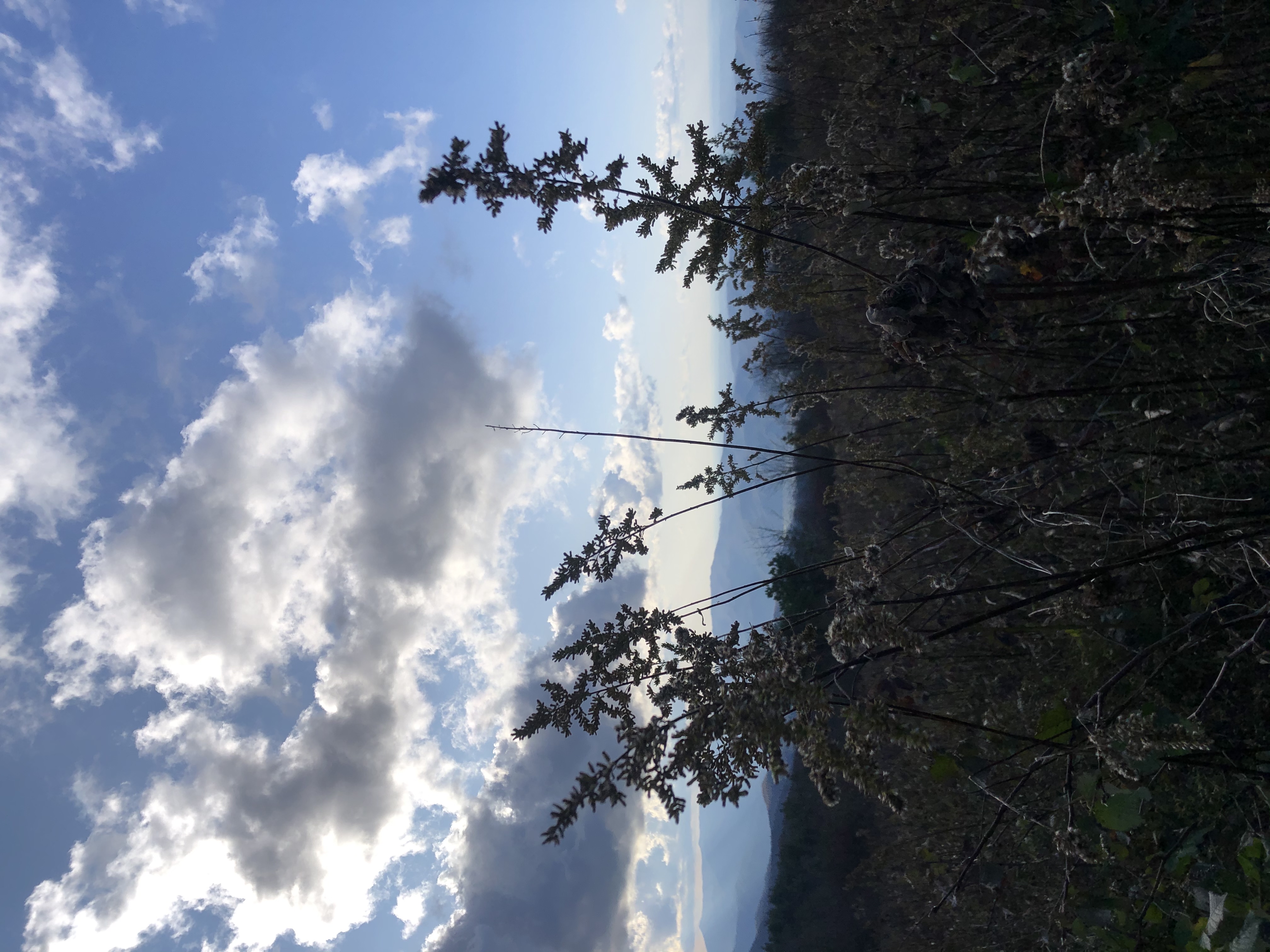 Hike to Beauty Spot Gap