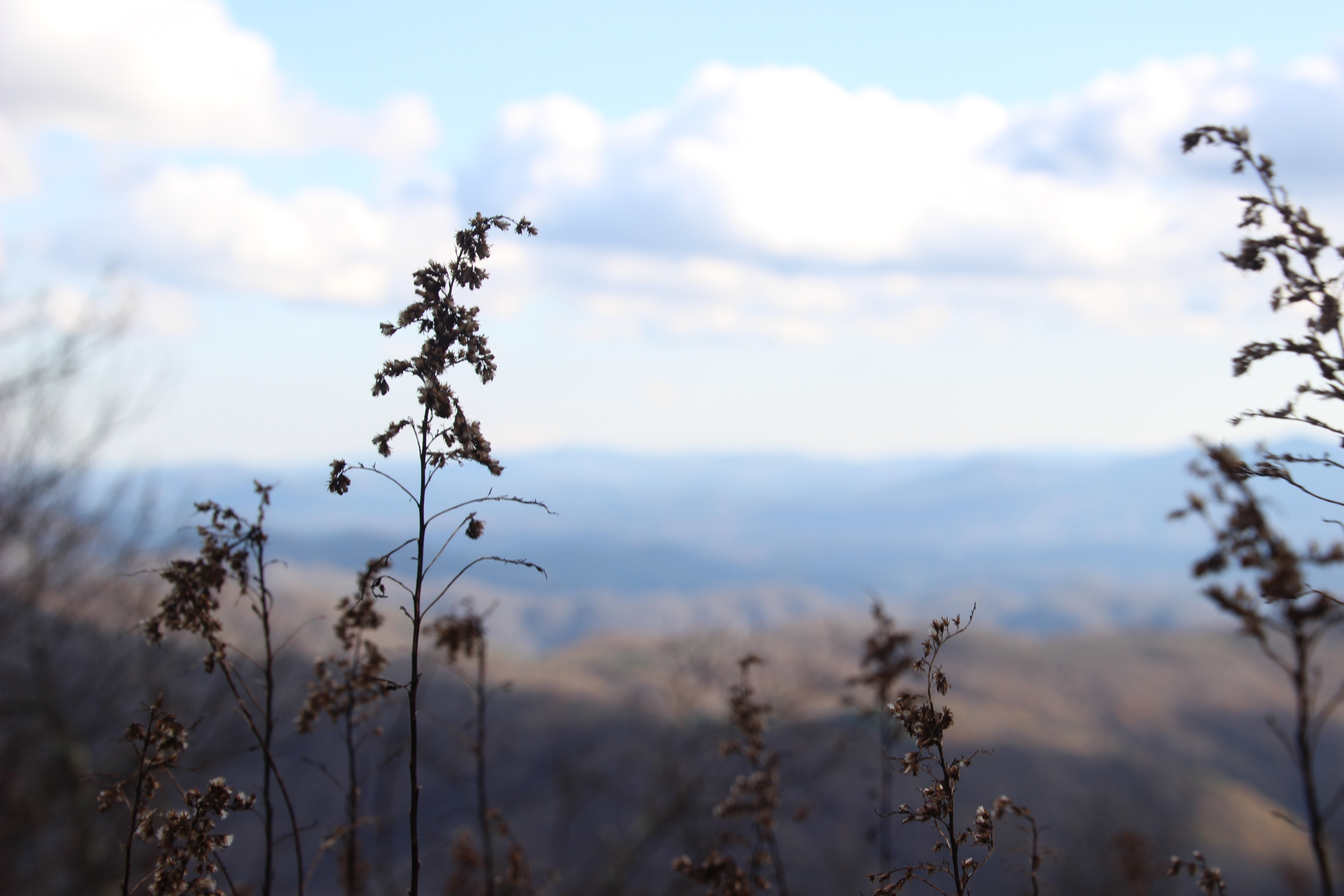 Hike to Beauty Spot Gap