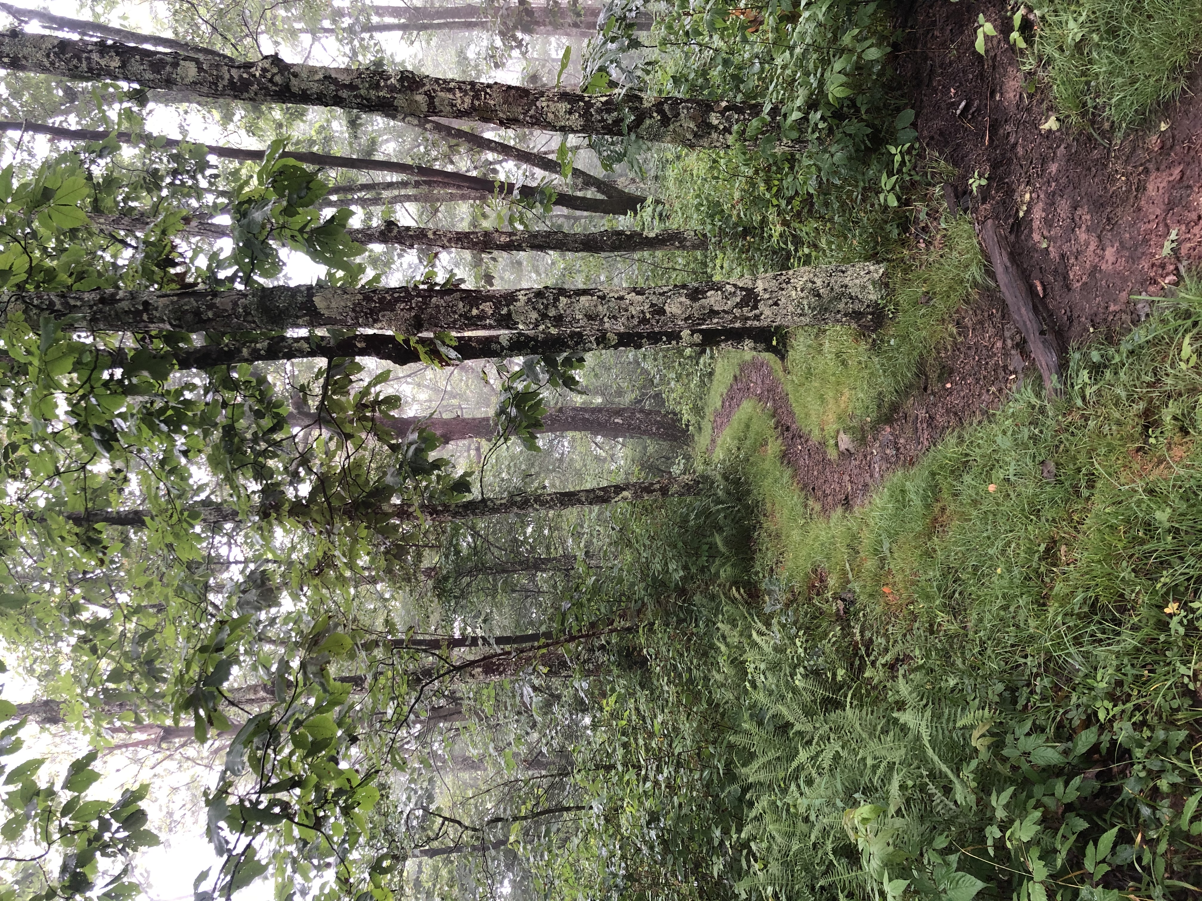 Hike to Beauty Spot Gap