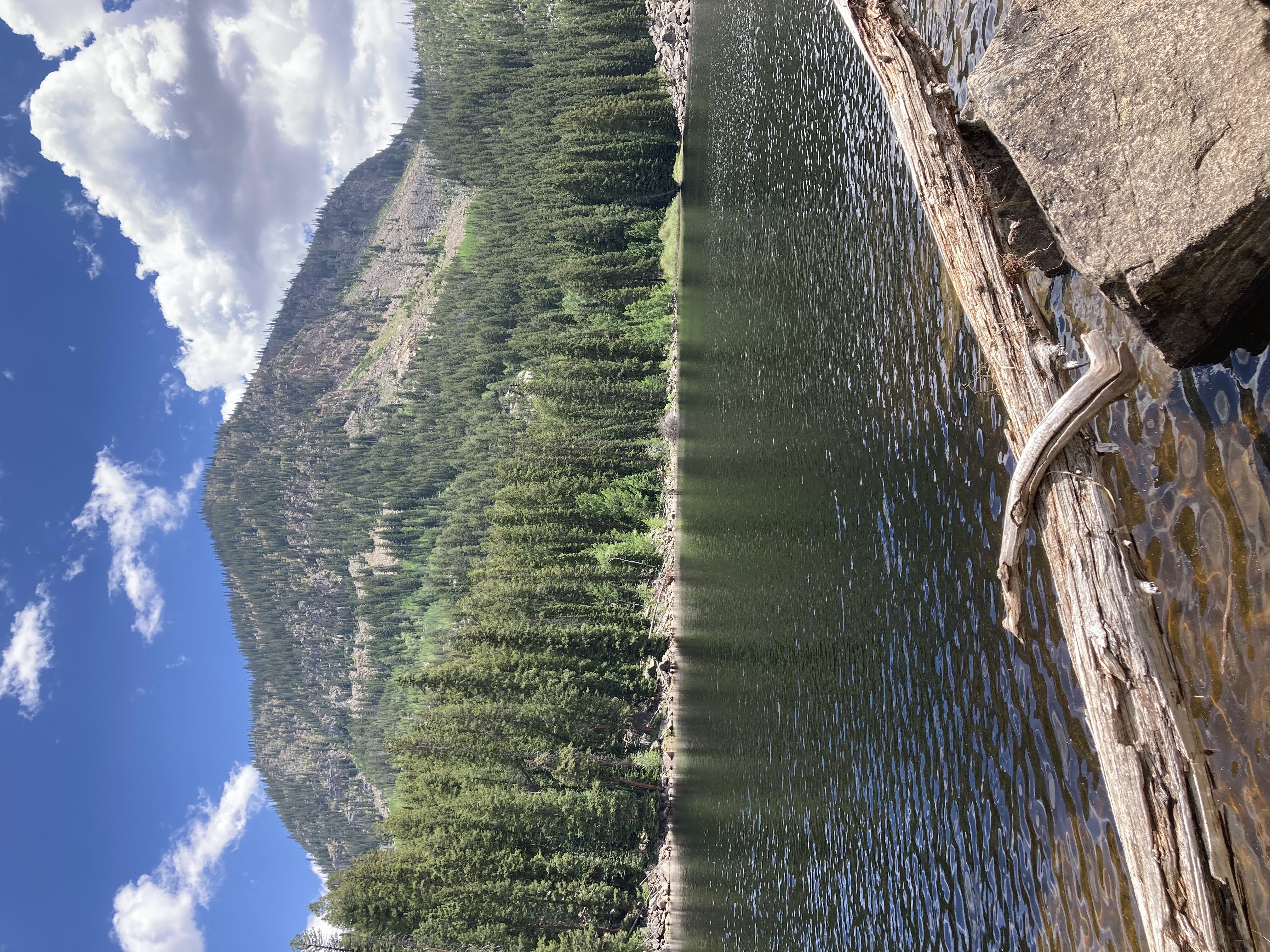 Weller Lake Trail