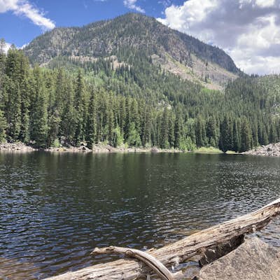 Weller Lake Trail