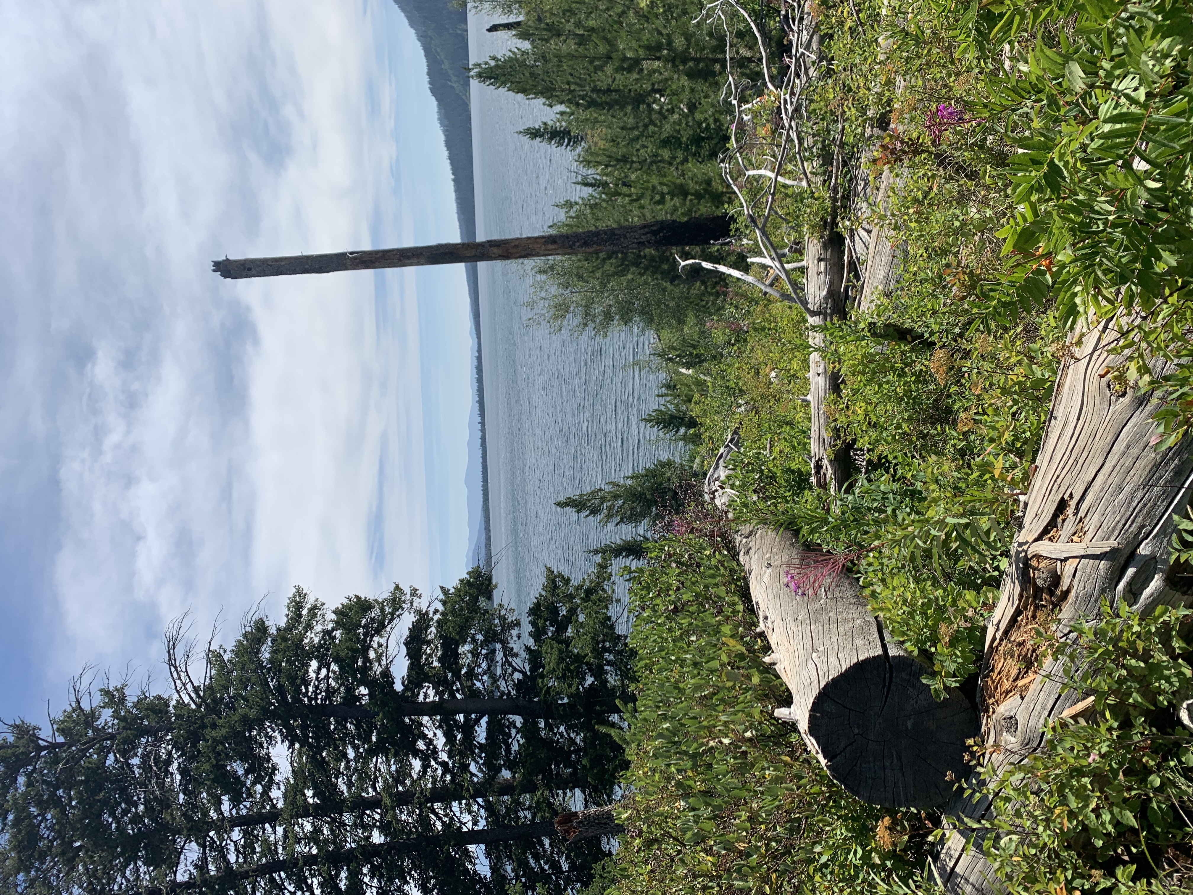 Hidden Falls & Jenny Lake Loop