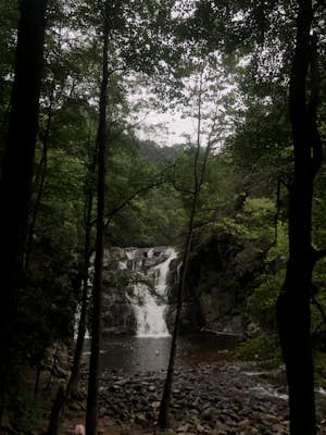 Laurel Falls via Appalachian Trail