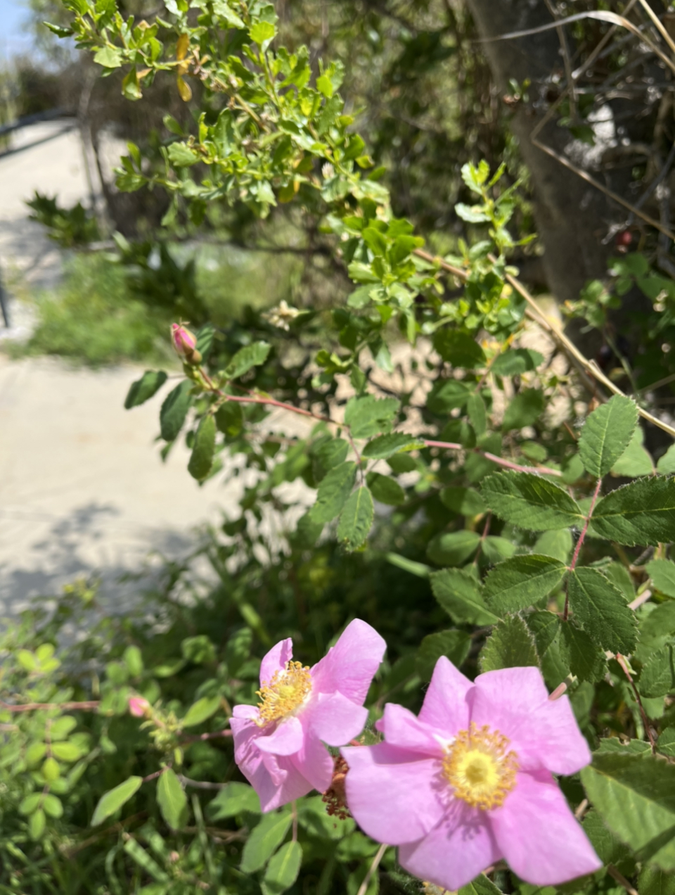 Vista Hermosa Nature Park
