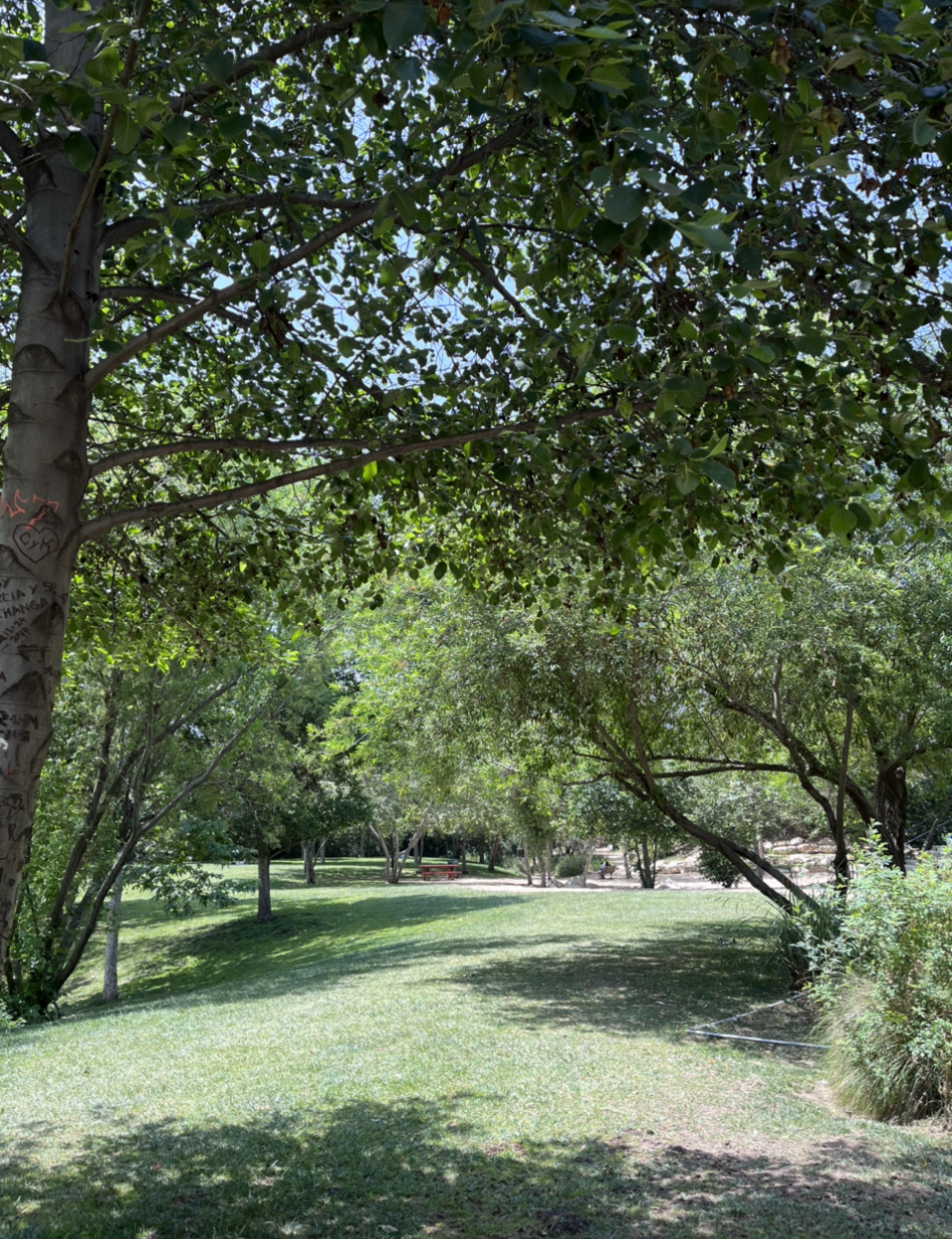 Vista Hermosa Nature Park