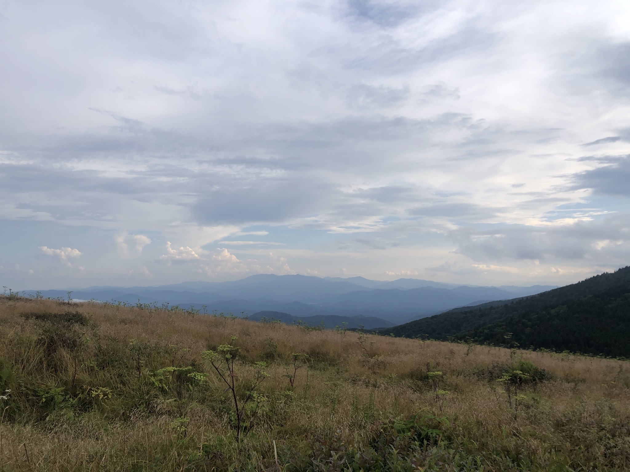 Hughes Gap to Roan High Bluff