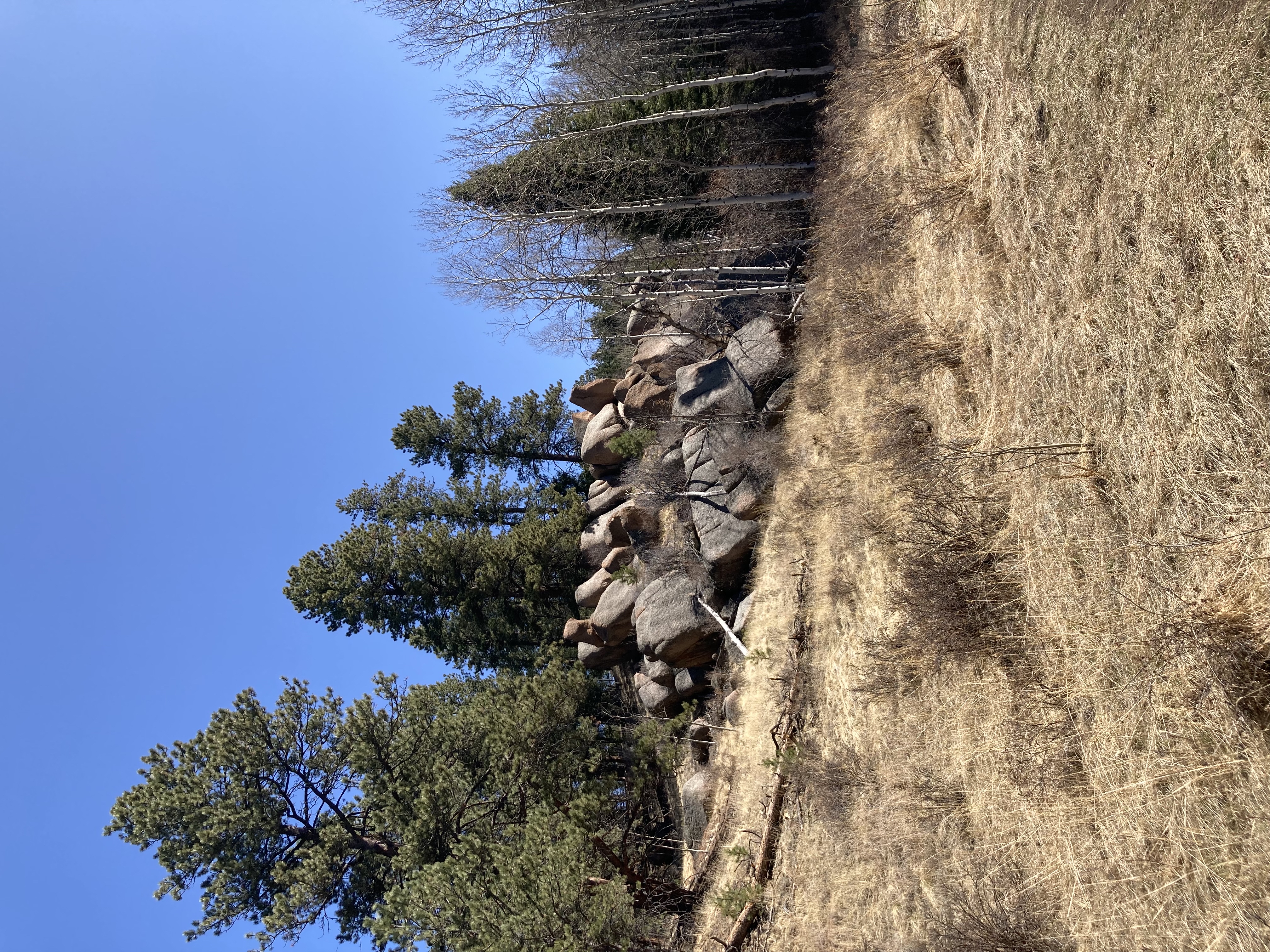 Lowell Gulch Upper and Lower Ridge Trail
