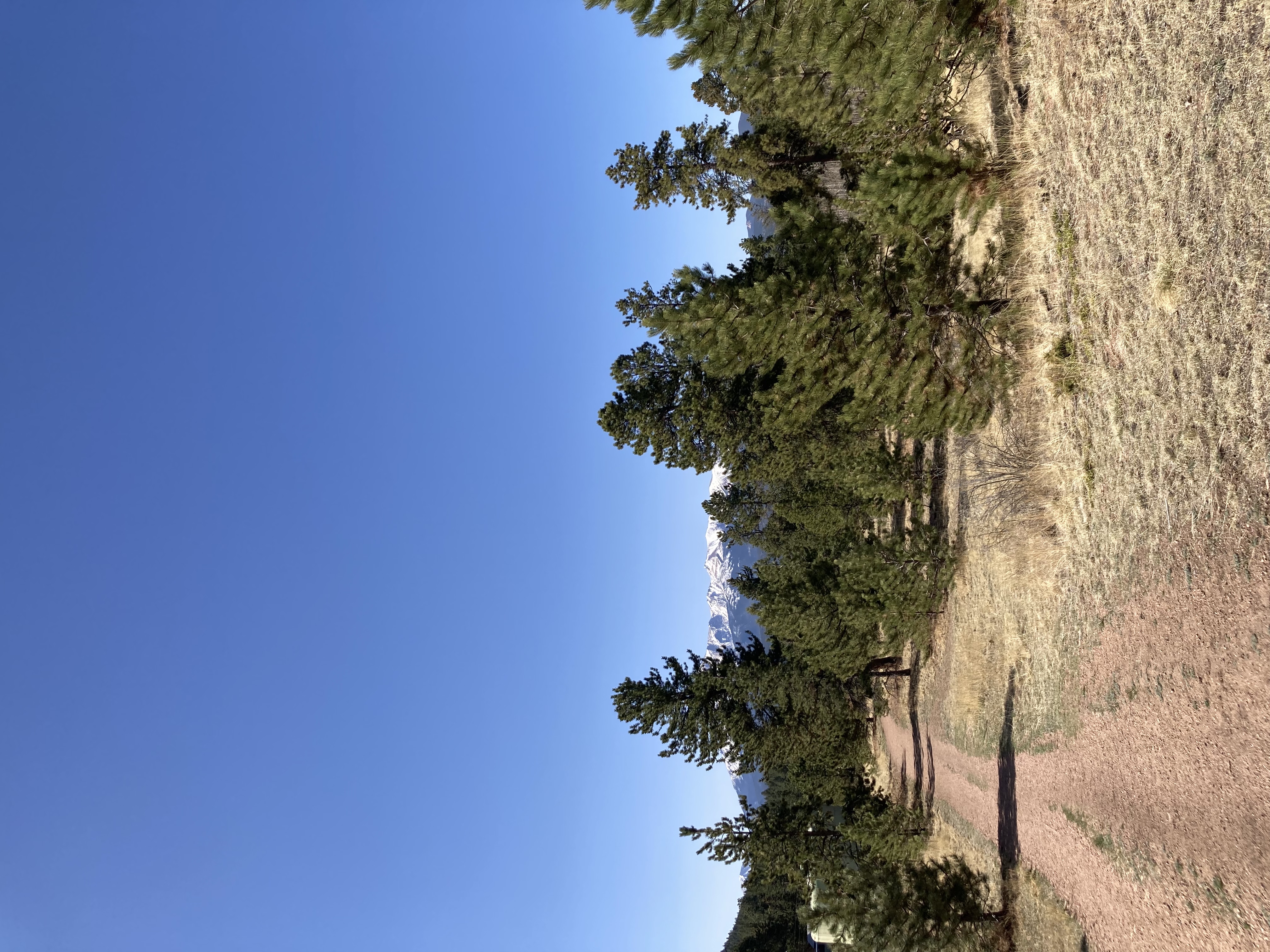 Lowell Gulch Upper and Lower Ridge Trail