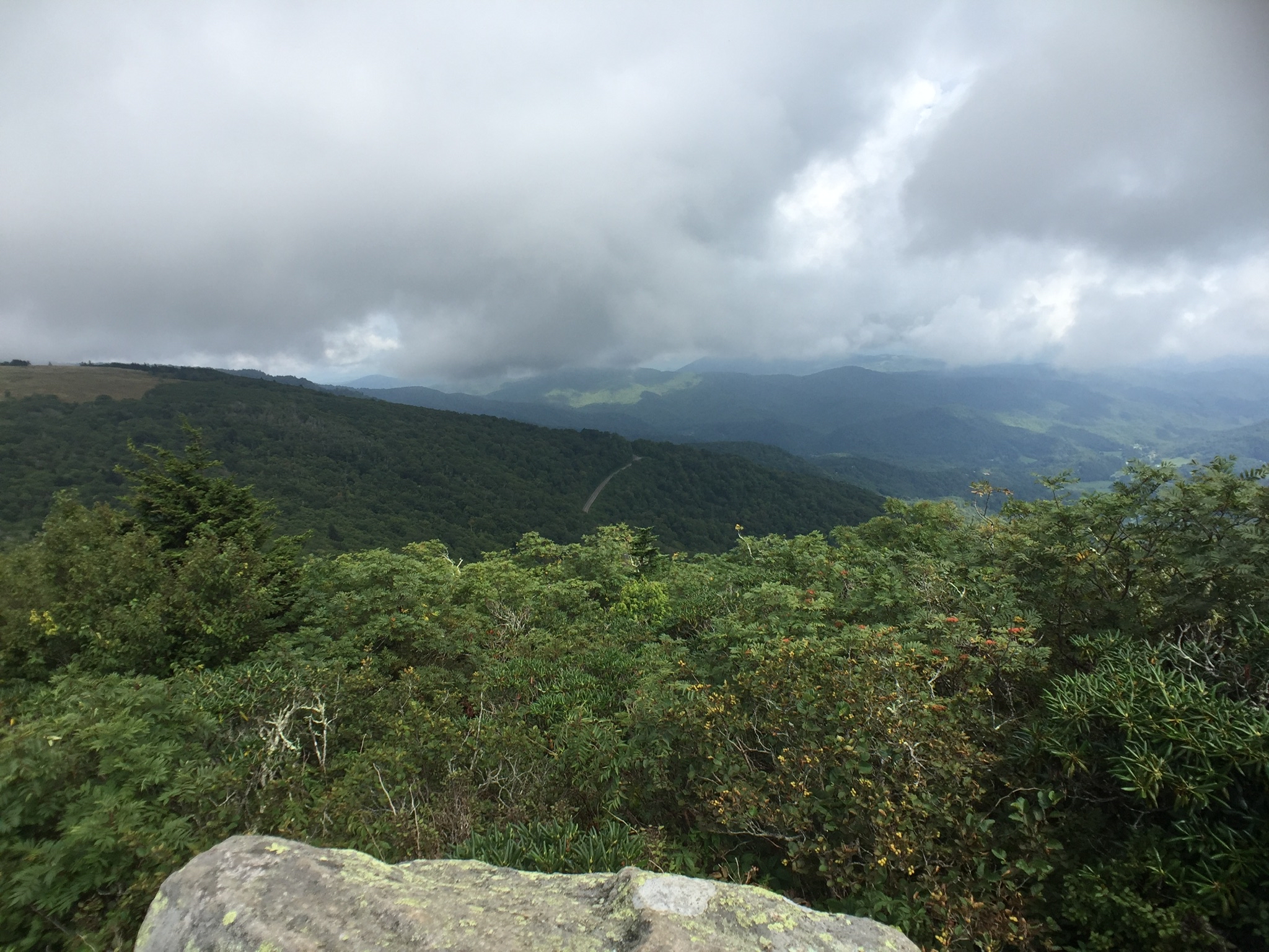 Jane Bald via Appalachian Trail