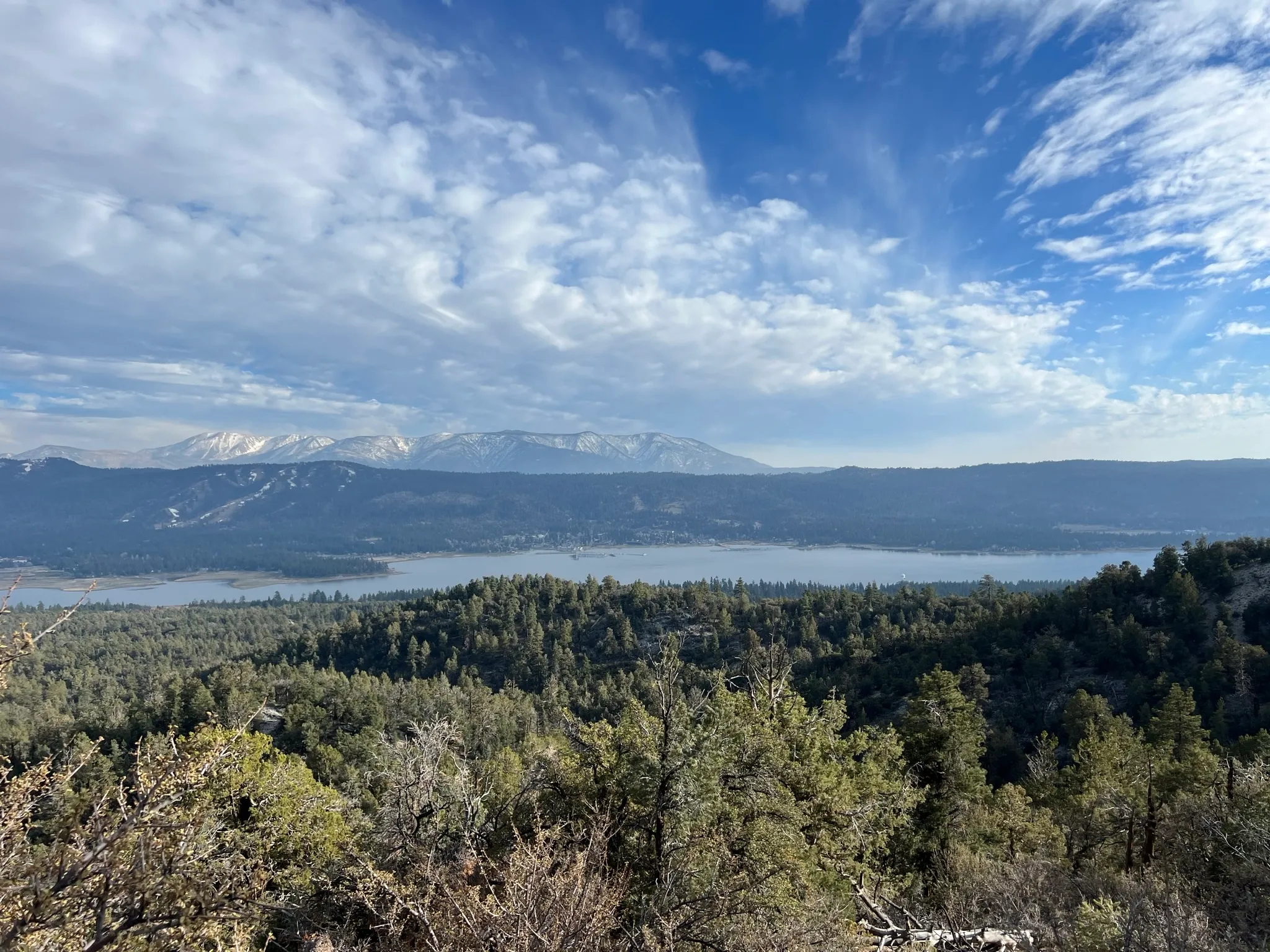 Cougar Crest Trail 