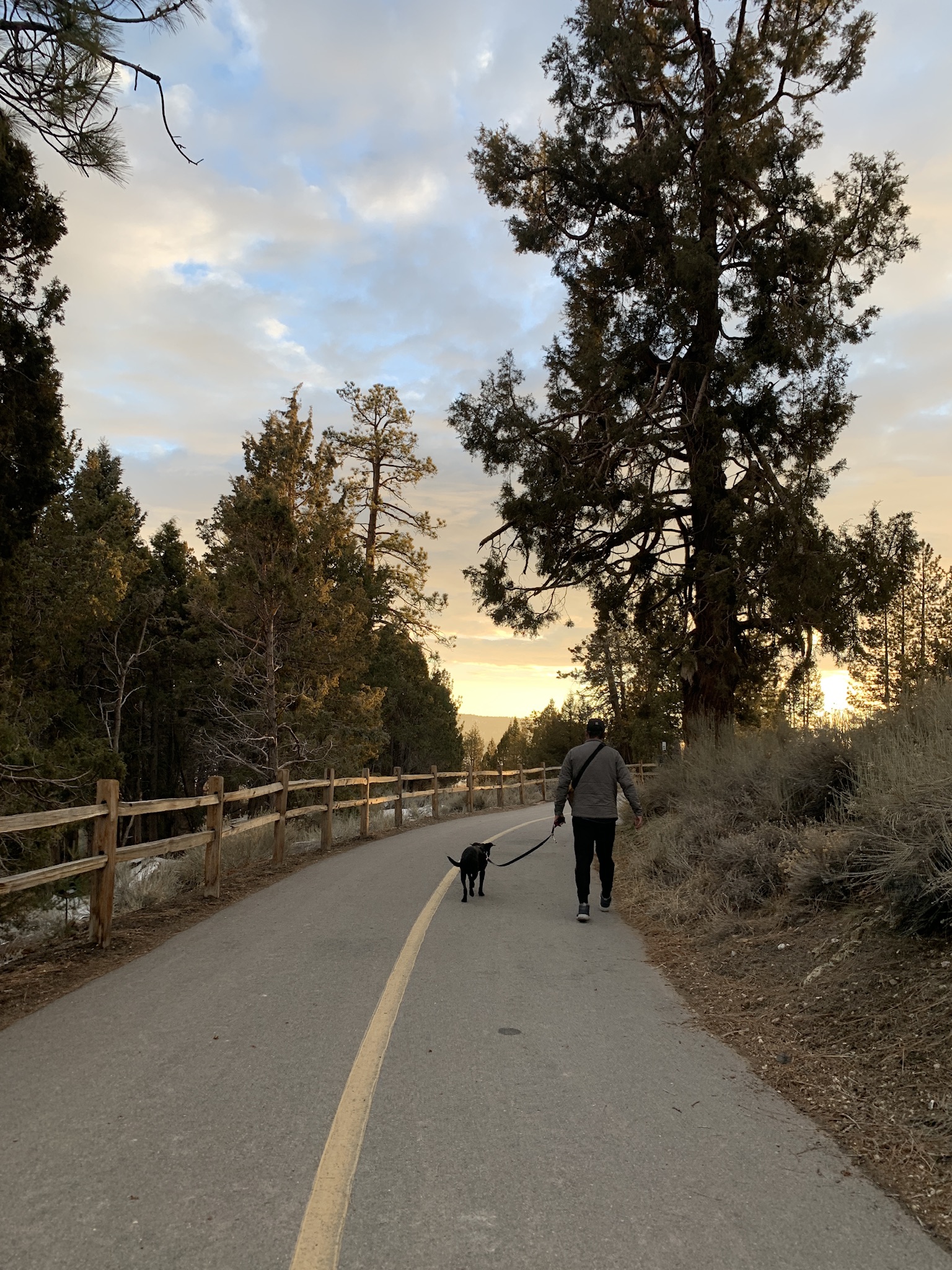 Alpine Pedal Path, Big Bear, California
