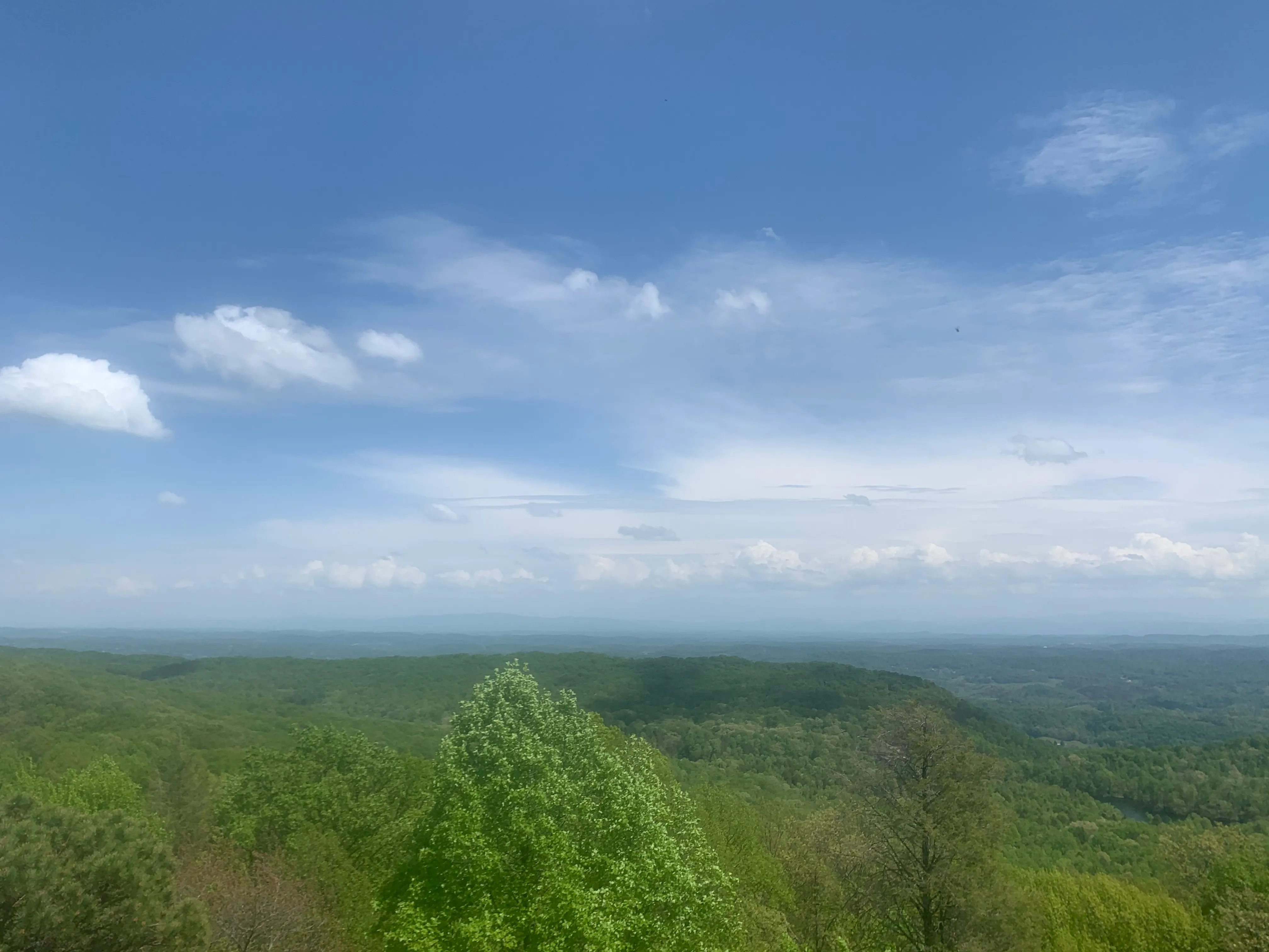 Bay's Mountain Firetower