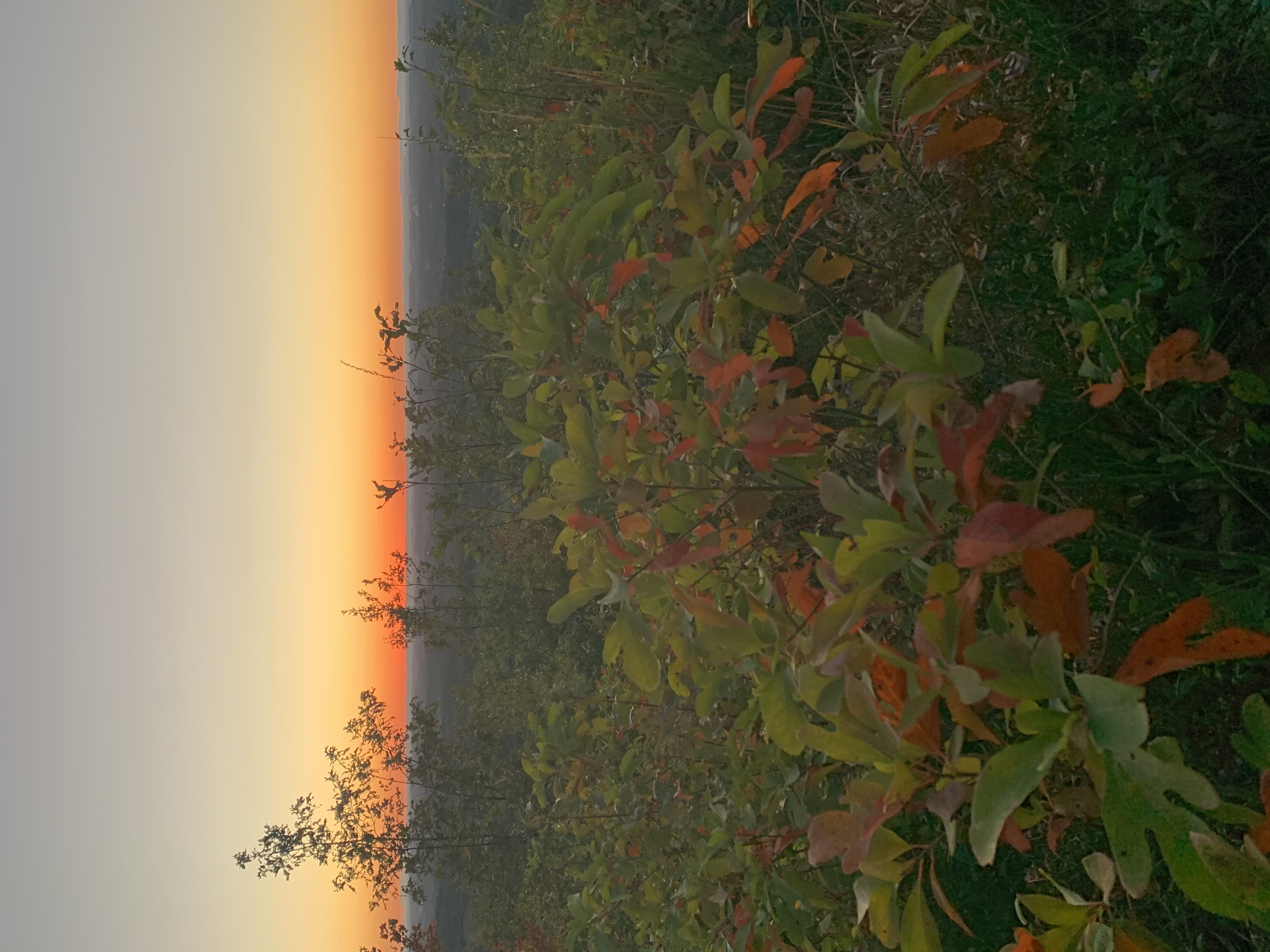 Sunset Point