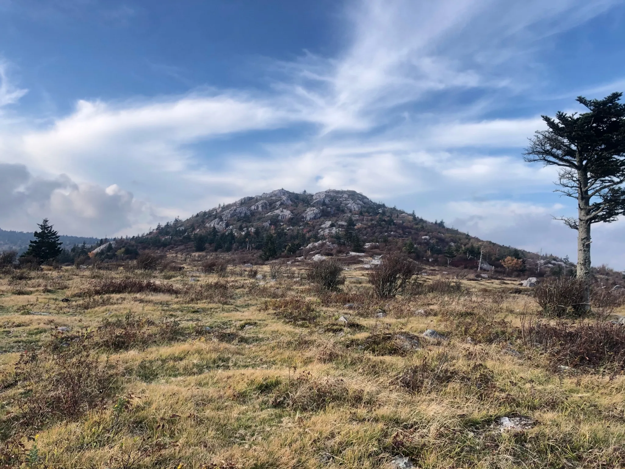Wilburn Ridge and Massie Gap Loop