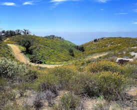 Reservoir Trail to East Meadow Trail Loop