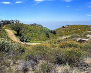 Reservoir Trail to East Meadow Trail Loop