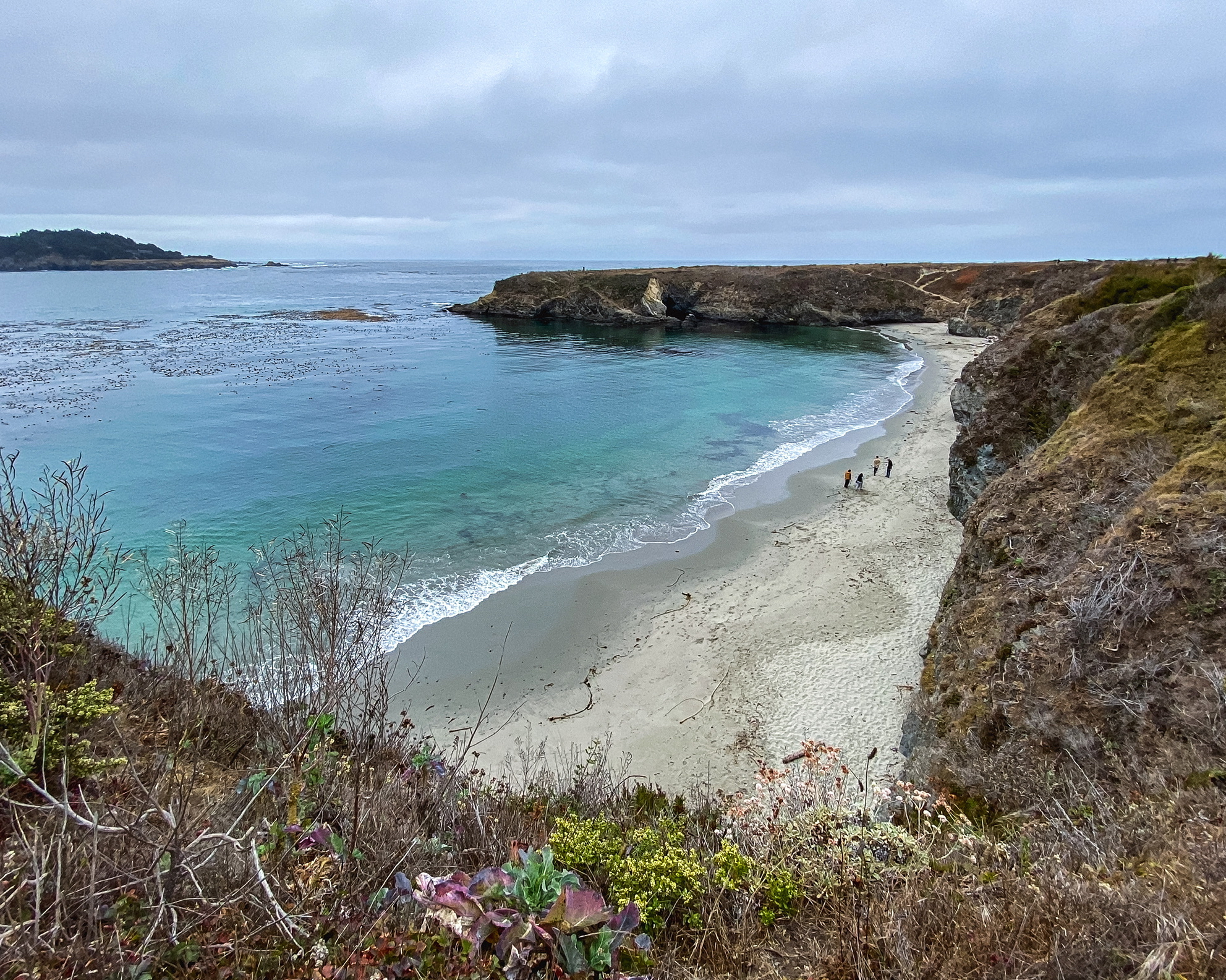 Mendocino Headlands Trail