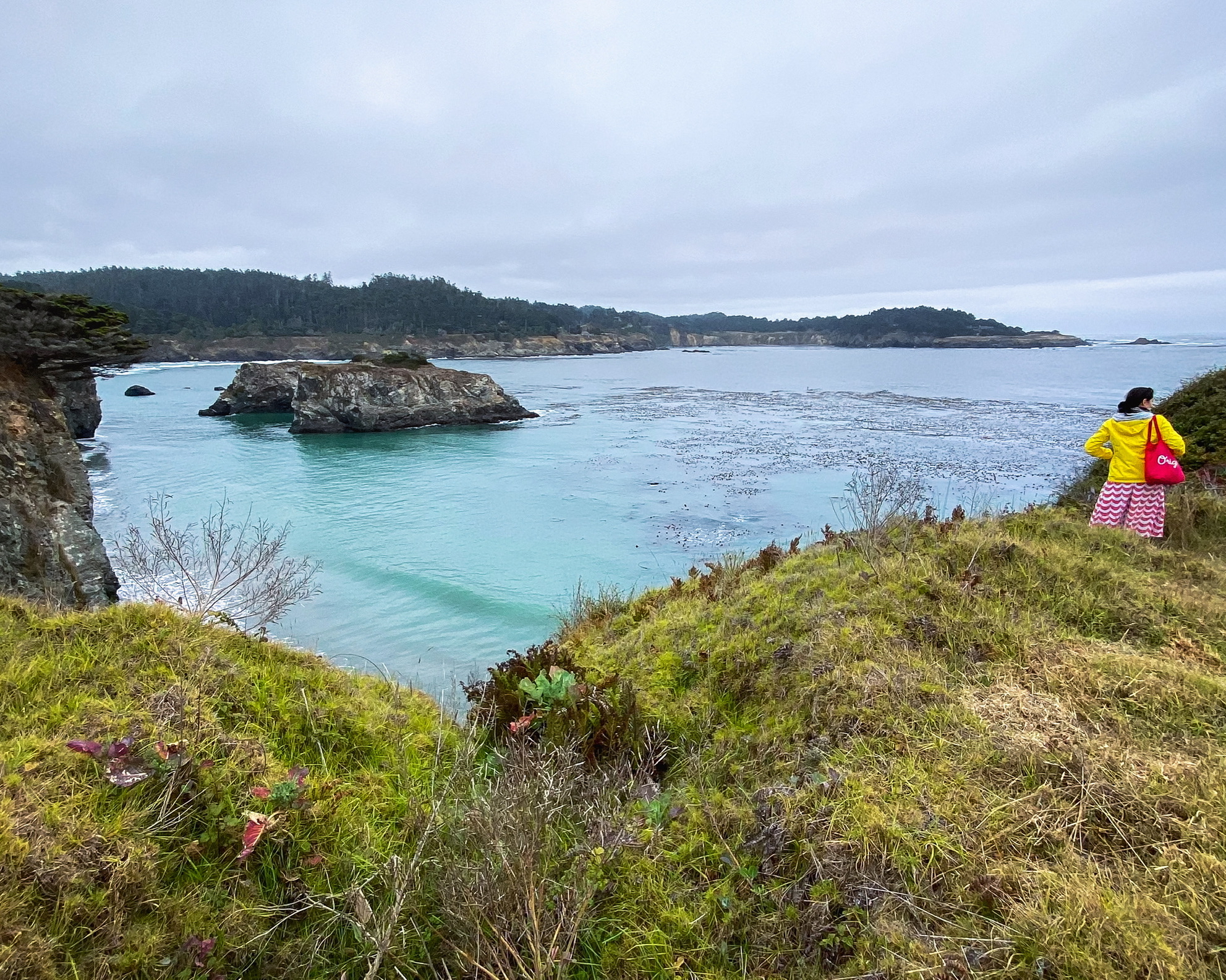 Mendocino Headlands Trail