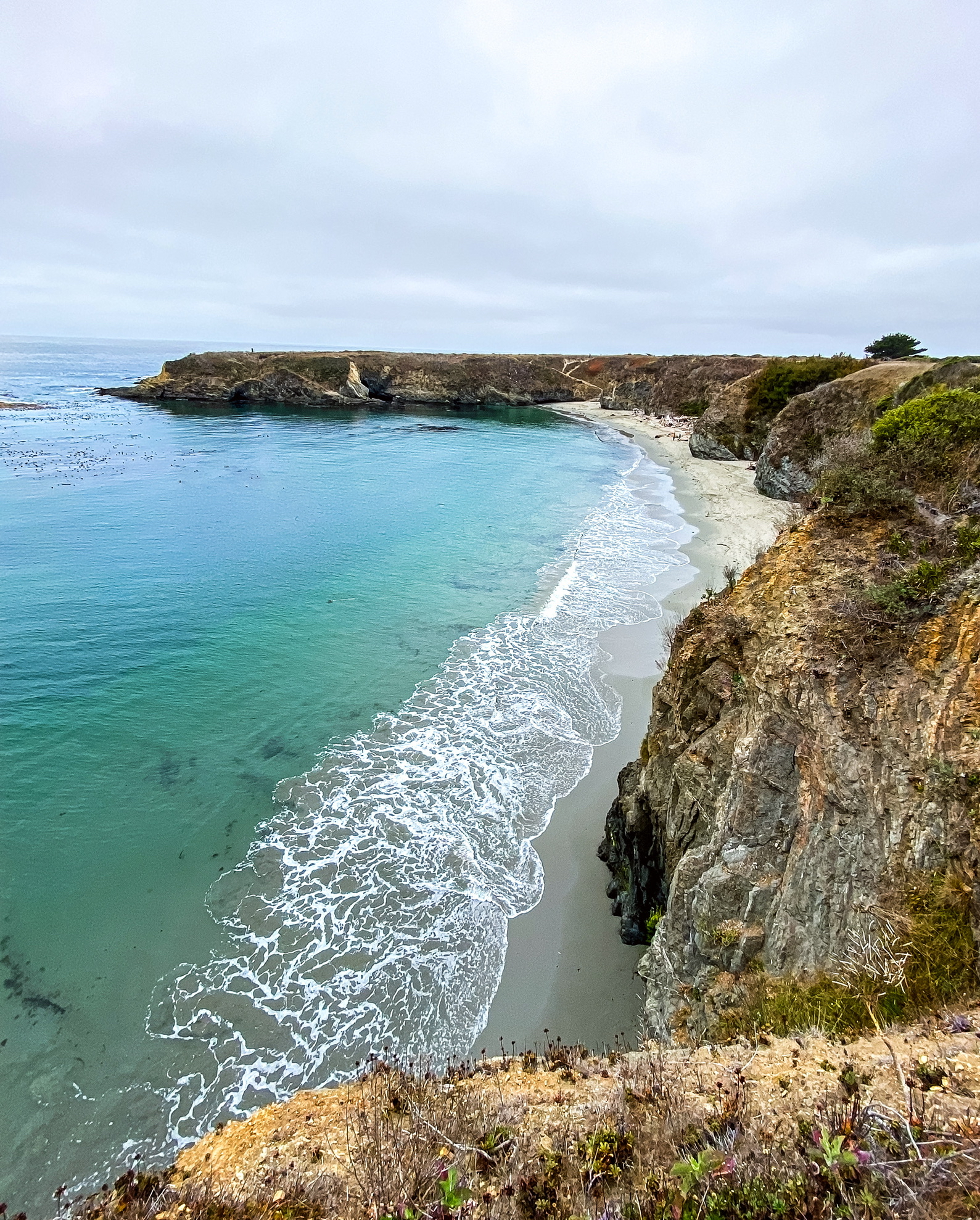 Mendocino Headlands Trail