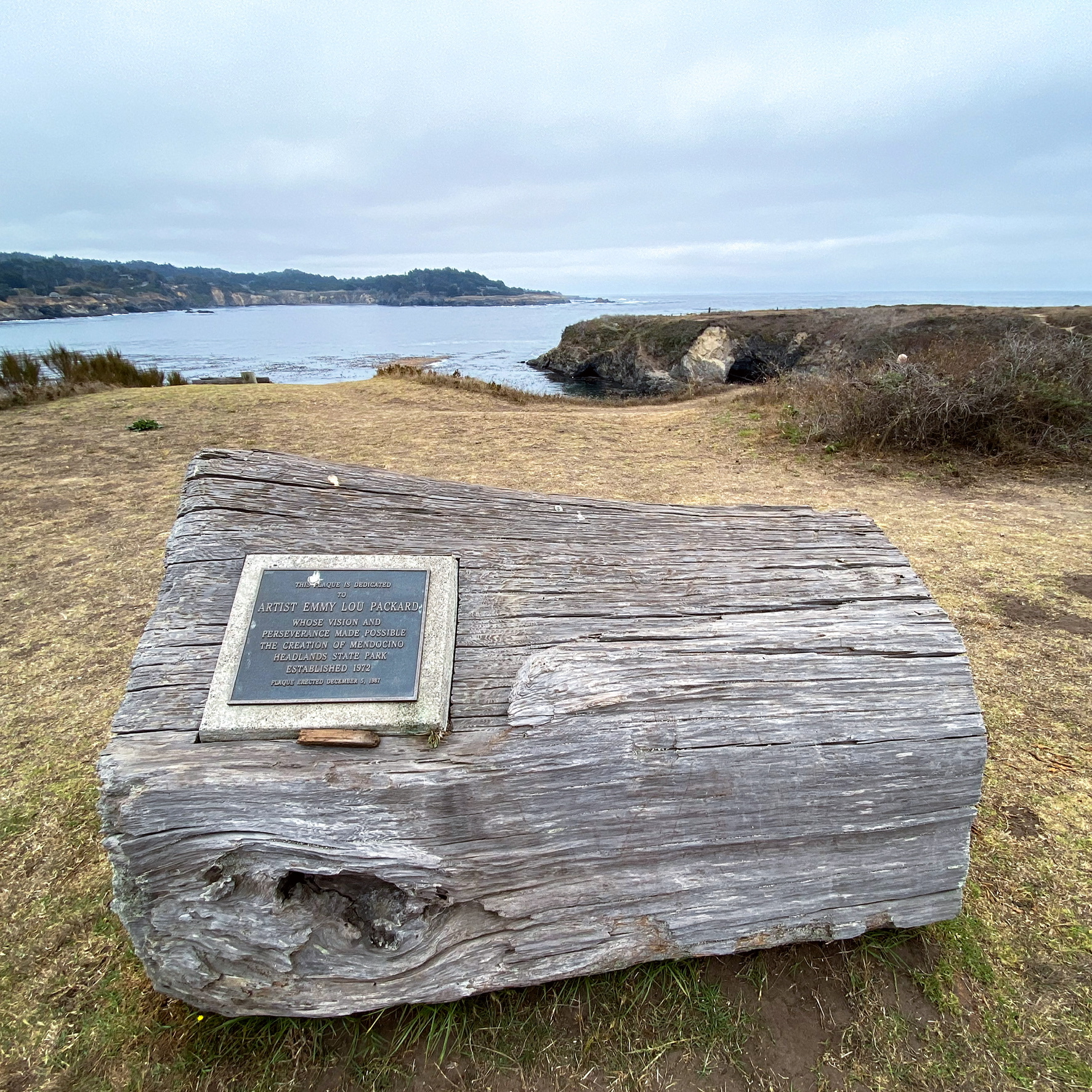 Mendocino Headlands Trail