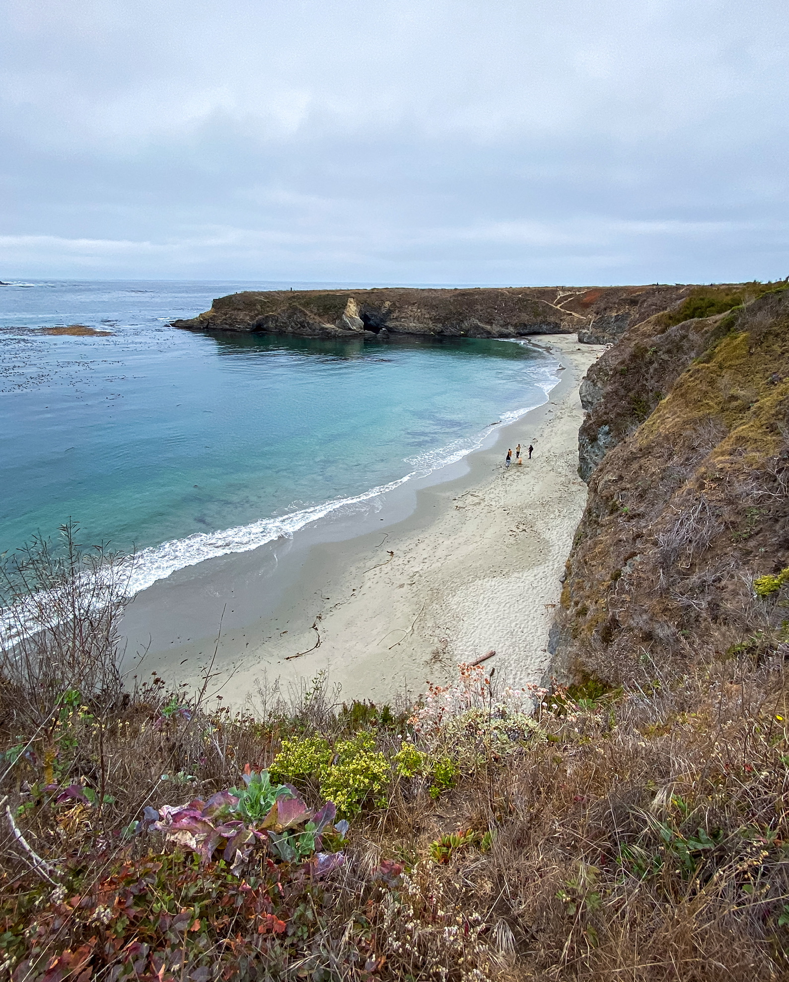 Mendocino Headlands Trail
