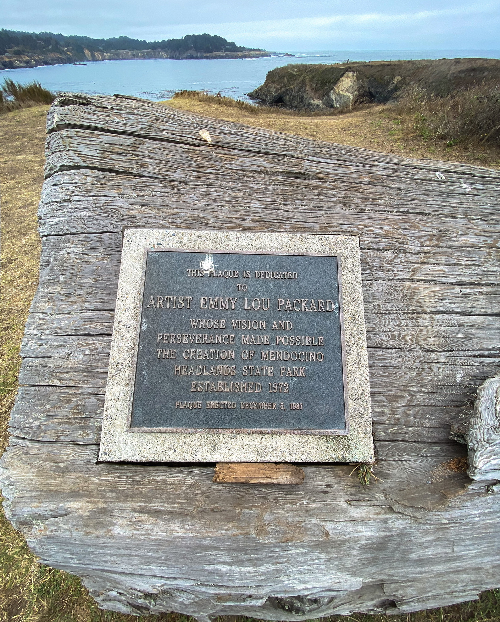 Mendocino Headlands Trail