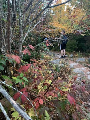 Stamper's Branch Trail
