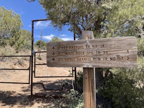 Giant Alligator Juniper Trail