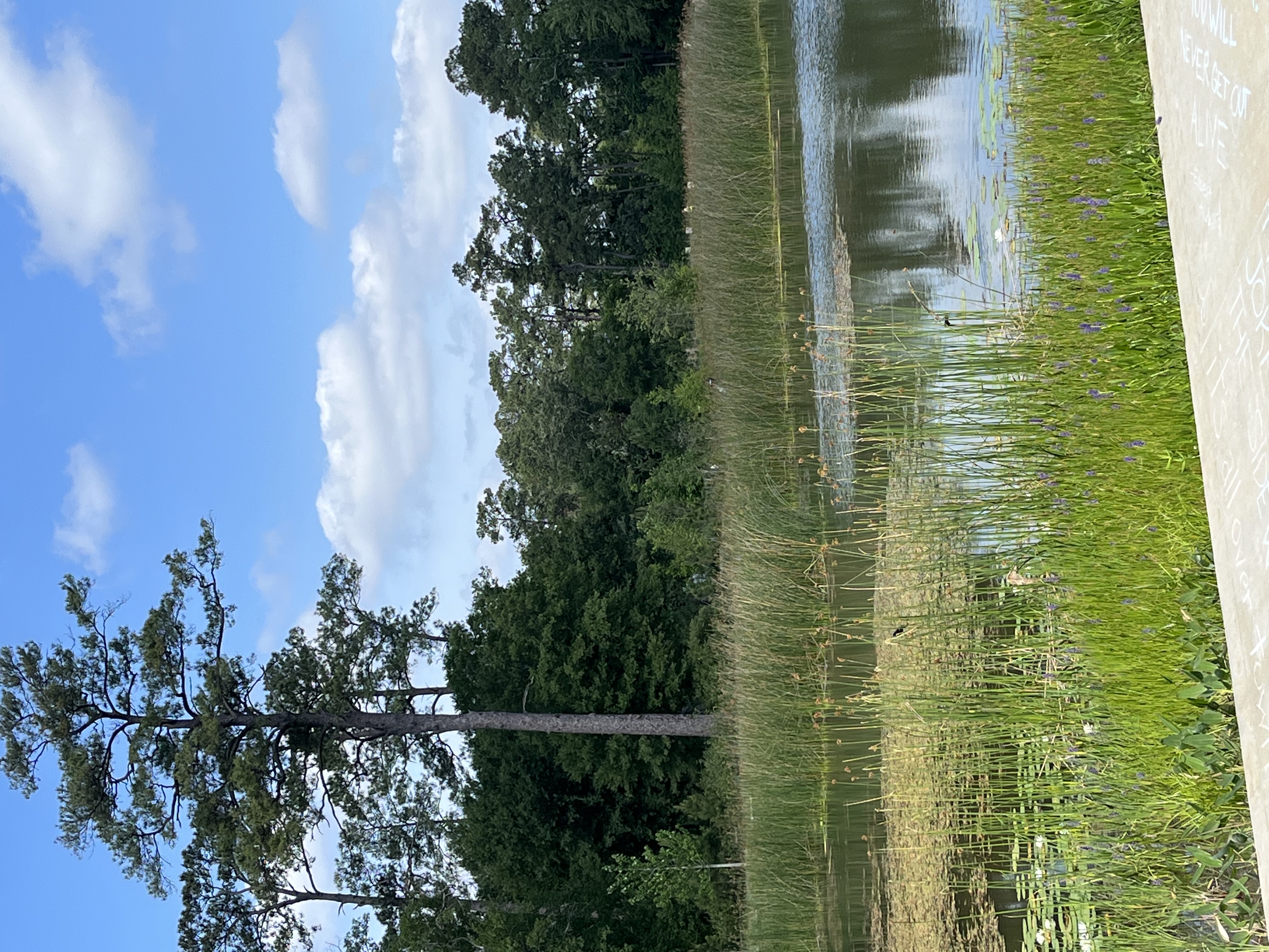 Hit the Trails at Memorial Park