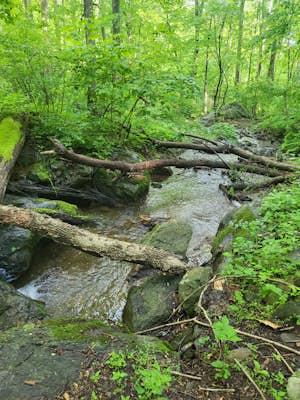 Hike to Hollow Brook Falls