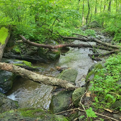 Hike to Hollow Brook Falls