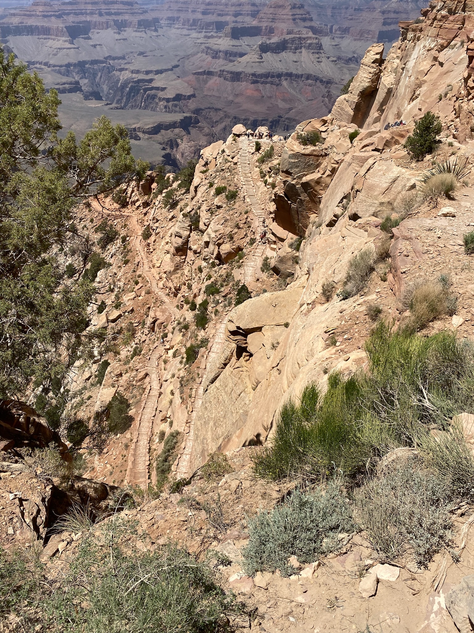 Cedar Ridge via South Kaibab Trail 