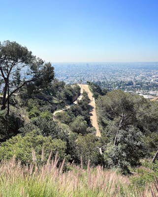 Ferndell to the West Observatory Loop Trail to Griffith Observatory