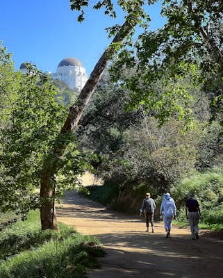 Ferndell to the West Observatory Loop Trail to Griffith Observatory