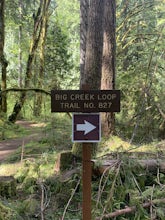 Upper Big Creek Loop Trail