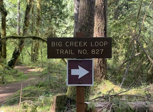 Upper Big Creek Loop Trail