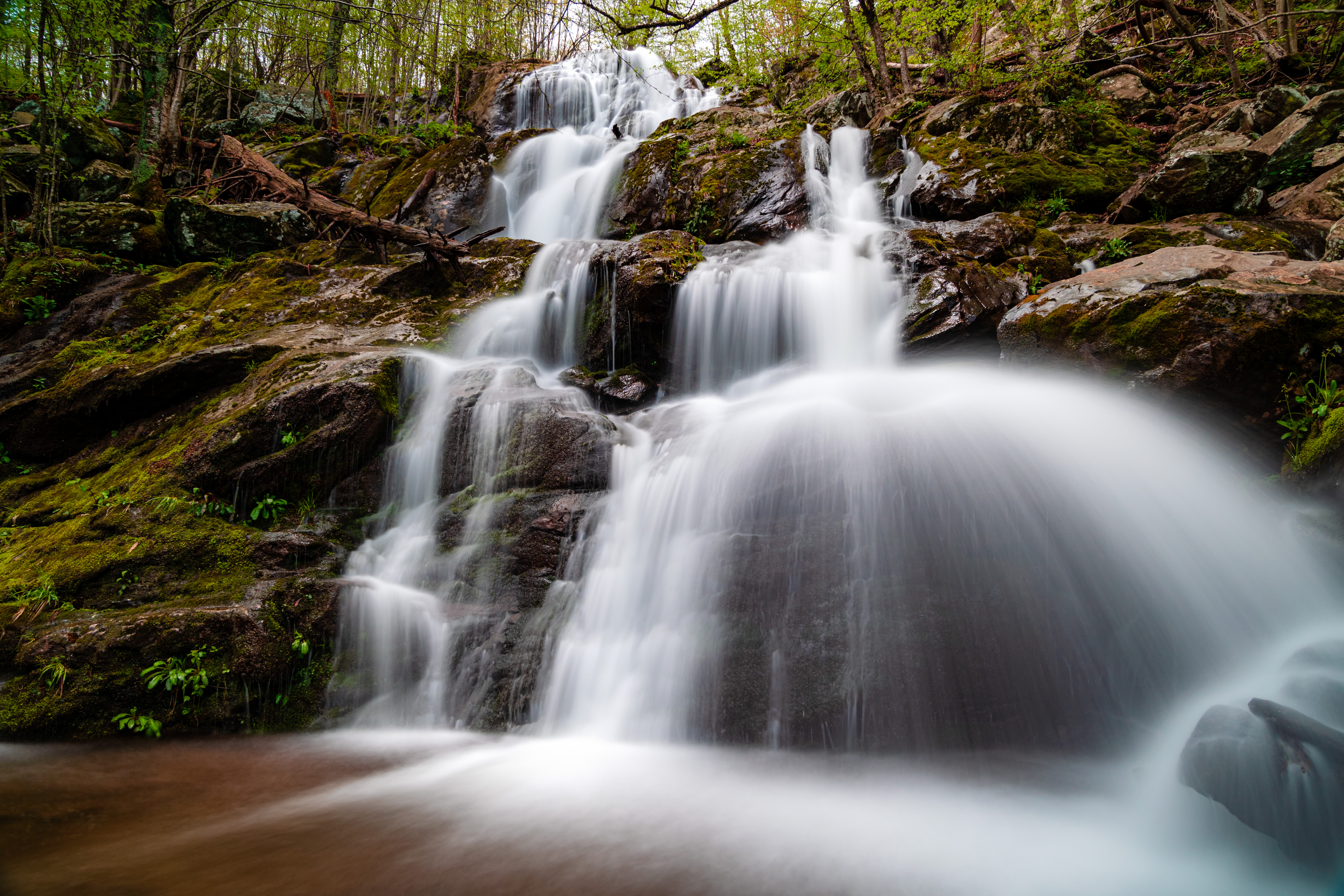 Dark Hollow Falls