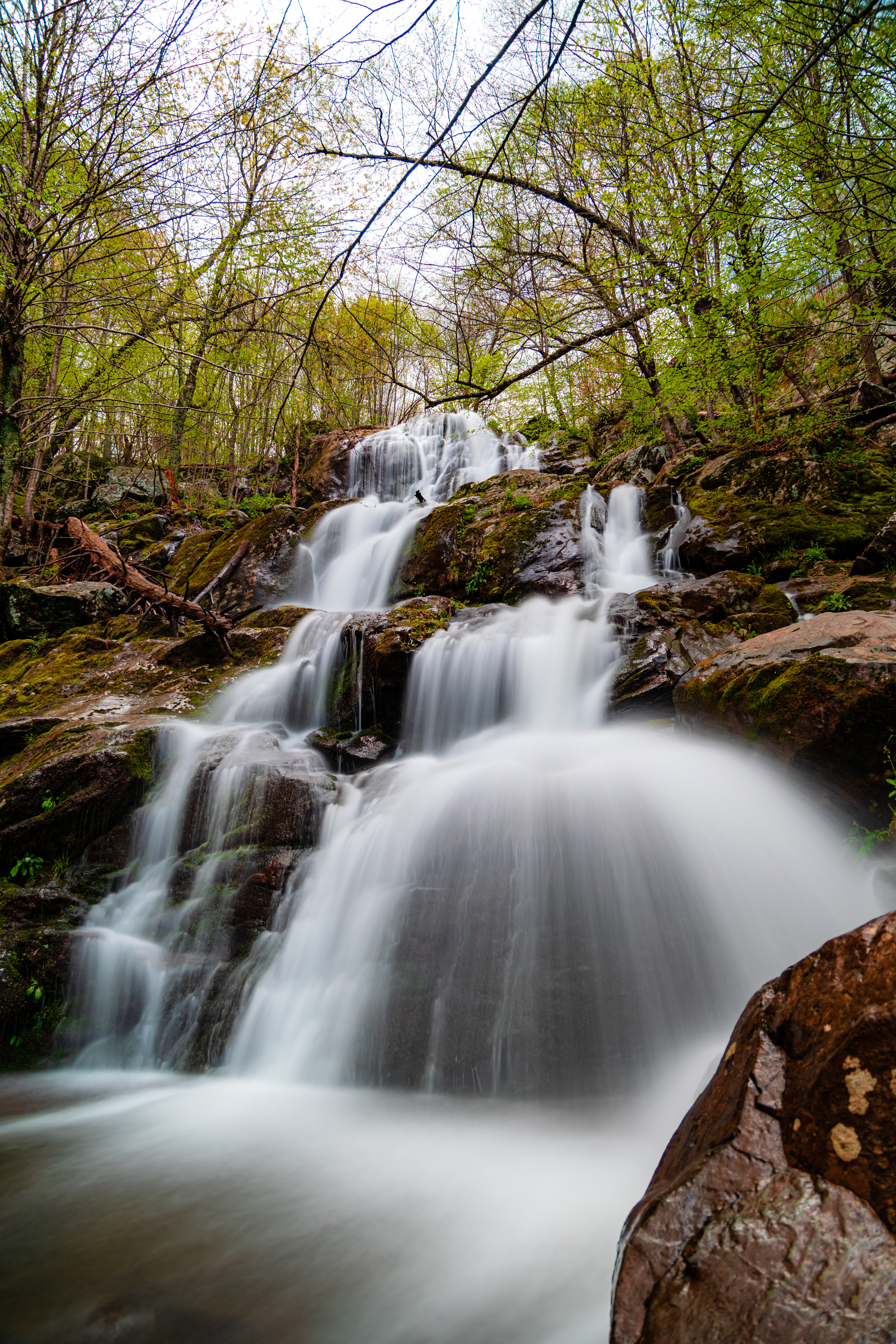 Dark Hollow Falls