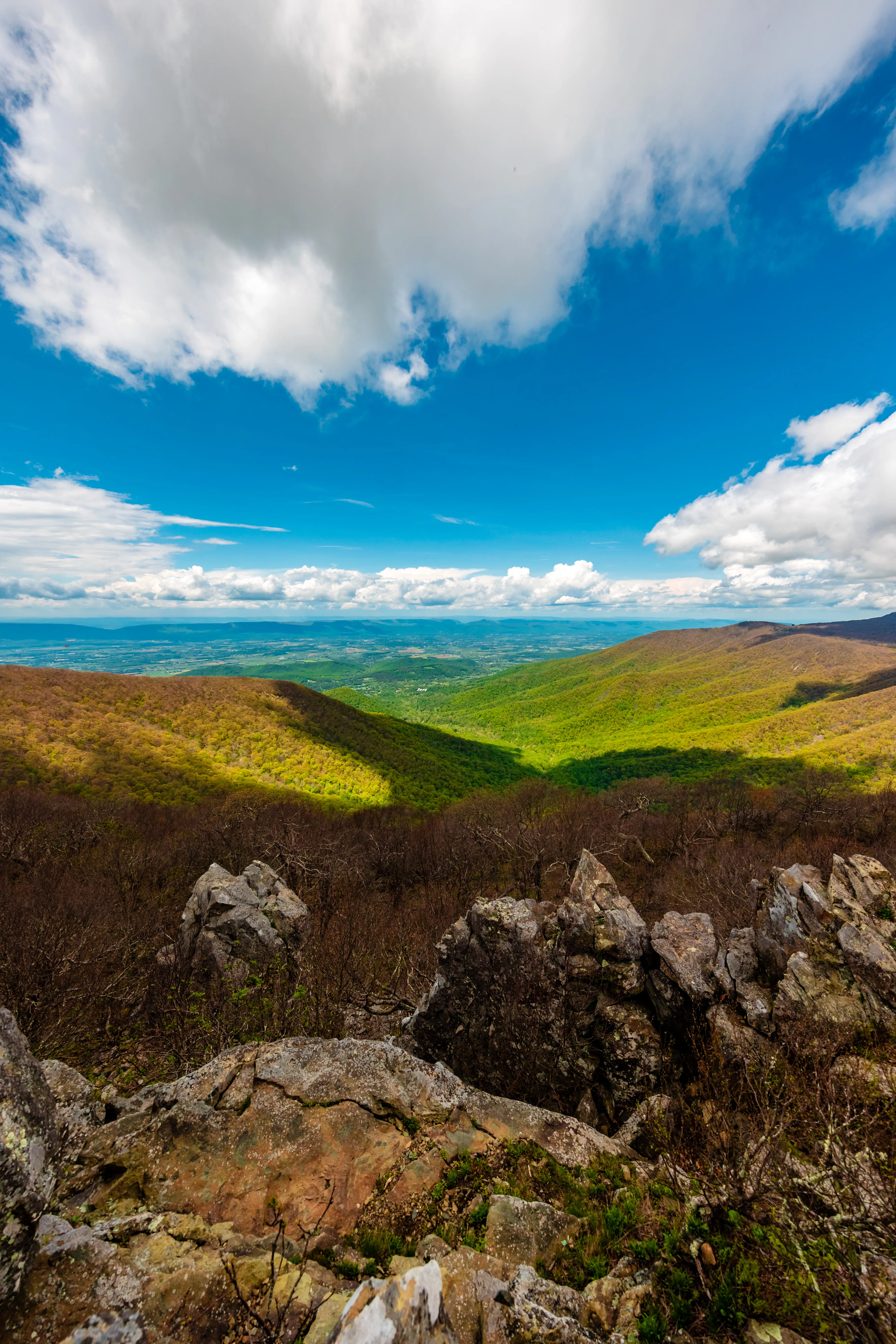Hawksbill Mountain Summit