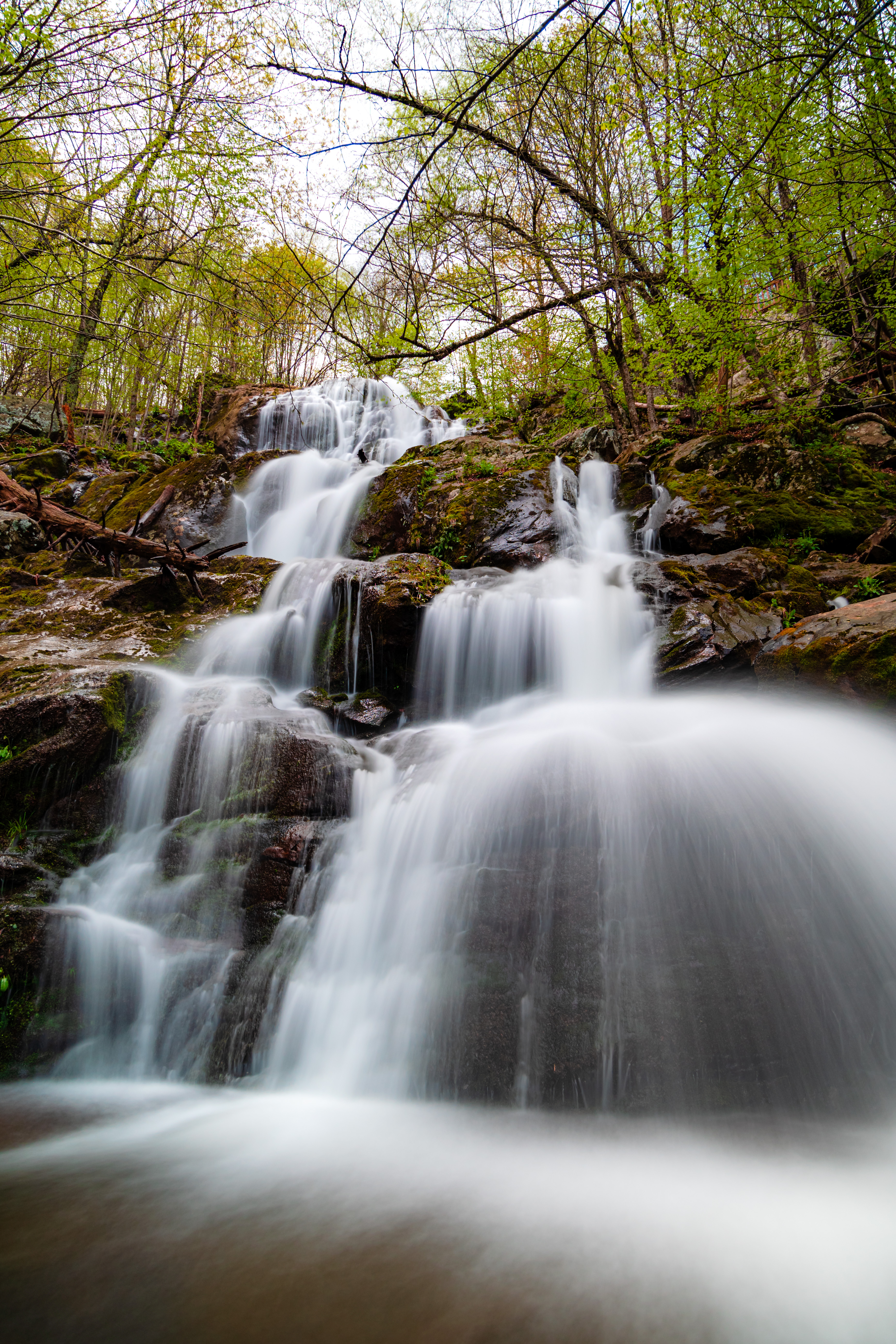 Dark Hollow Falls