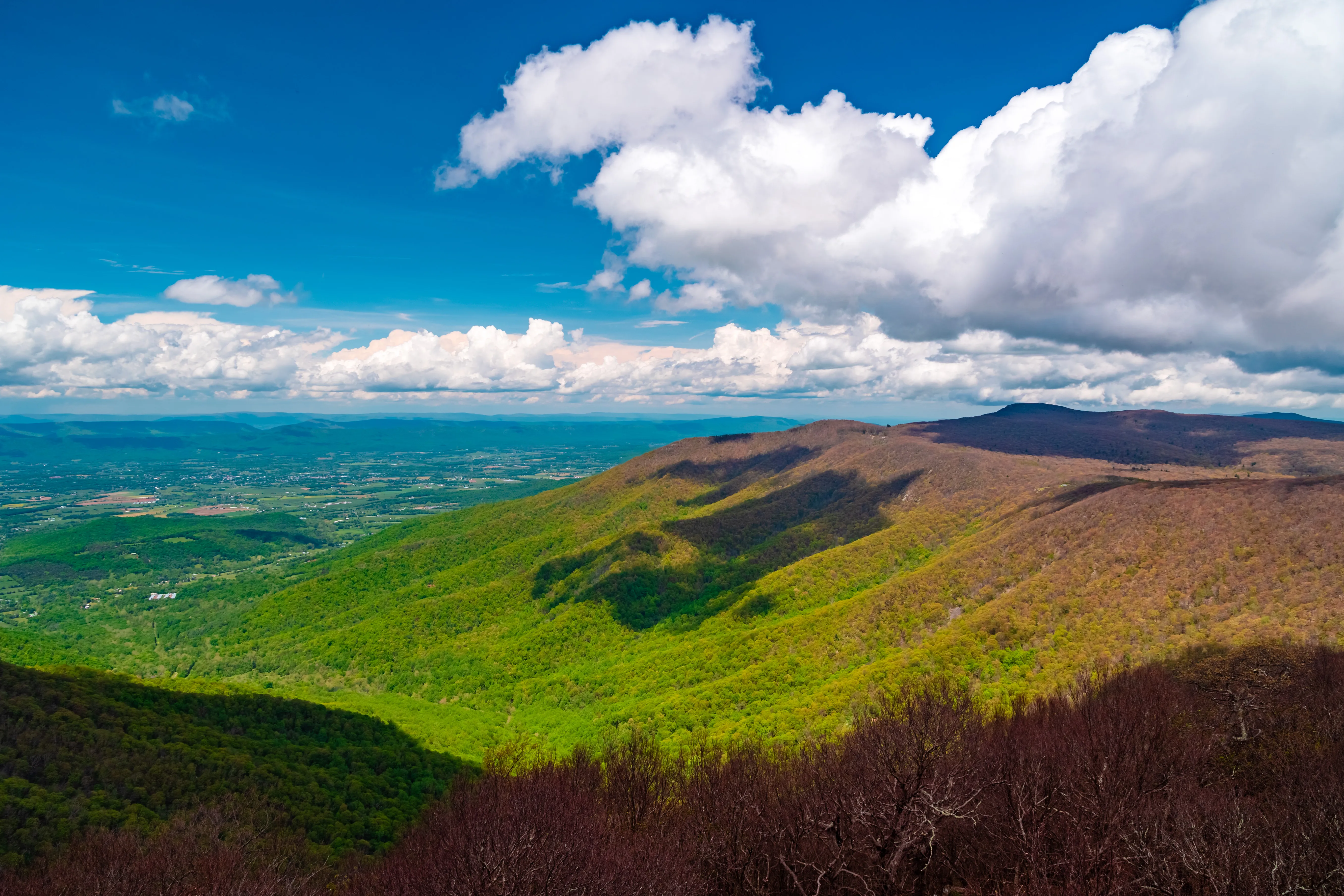 Hawksbill Mountain Summit