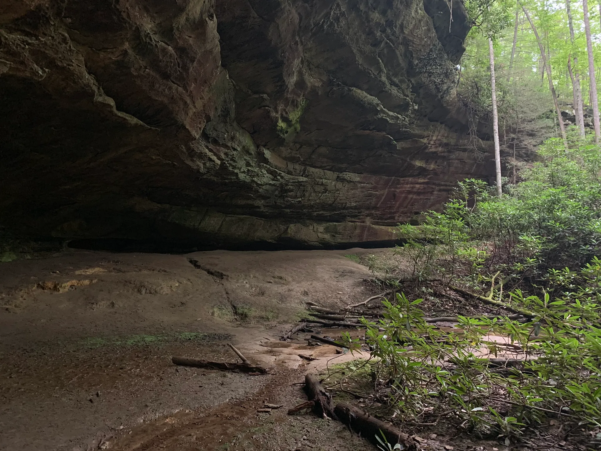 Hazard Cave and Natural Bridge Trail