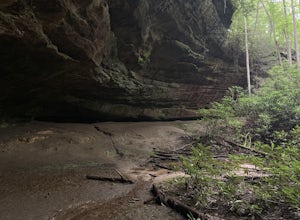 Hazard Cave and Natural Bridge Trail