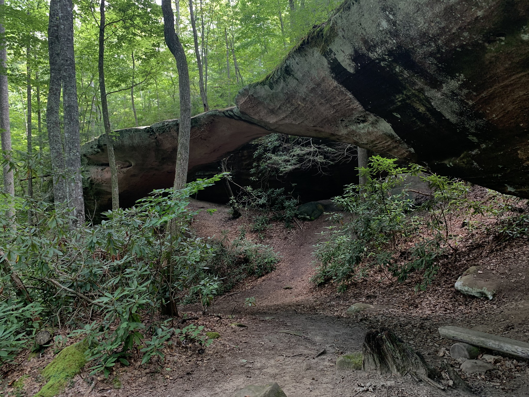 Hazard Cave Loop
