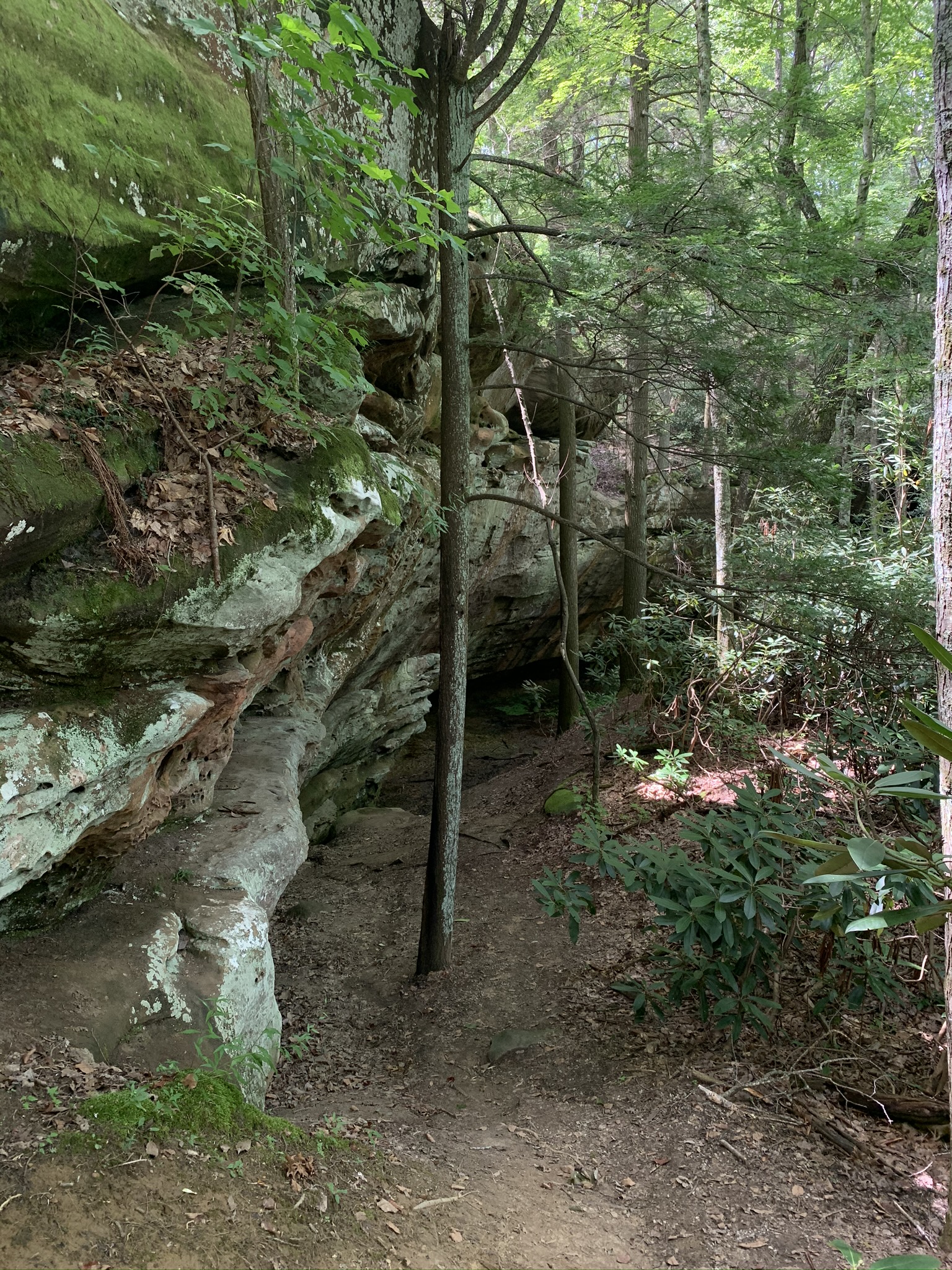 Hazard Cave Loop