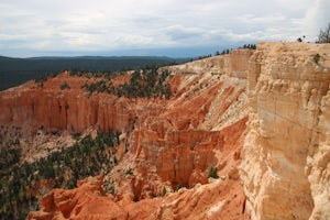 Bryce Point Trail