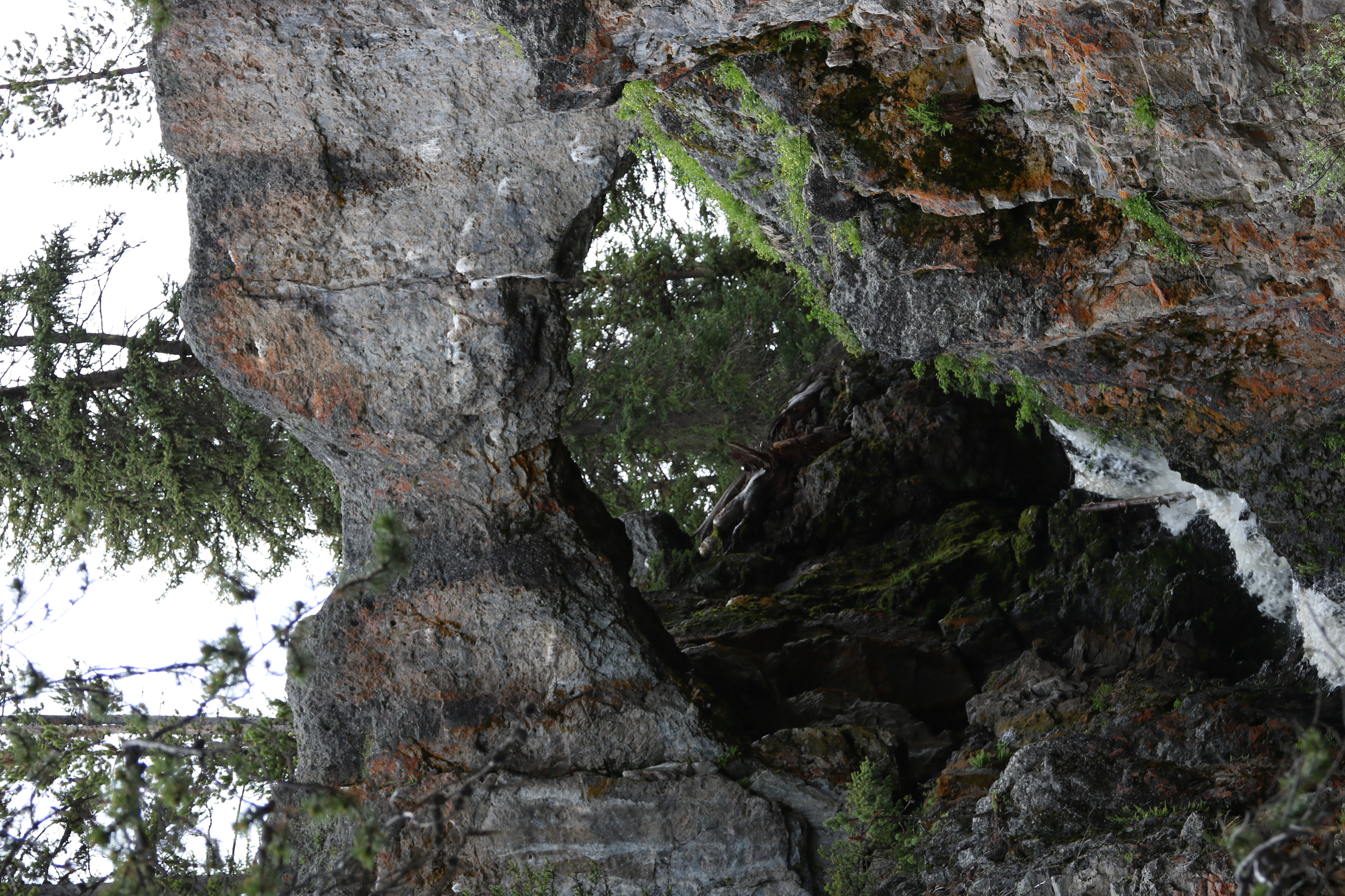 Yellowstone Natural Bridge Trail