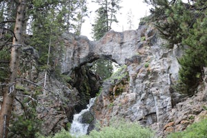 Yellowstone Natural Bridge Trail