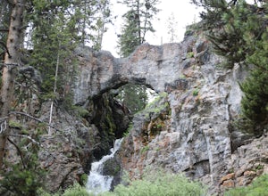 Yellowstone Natural Bridge Trail