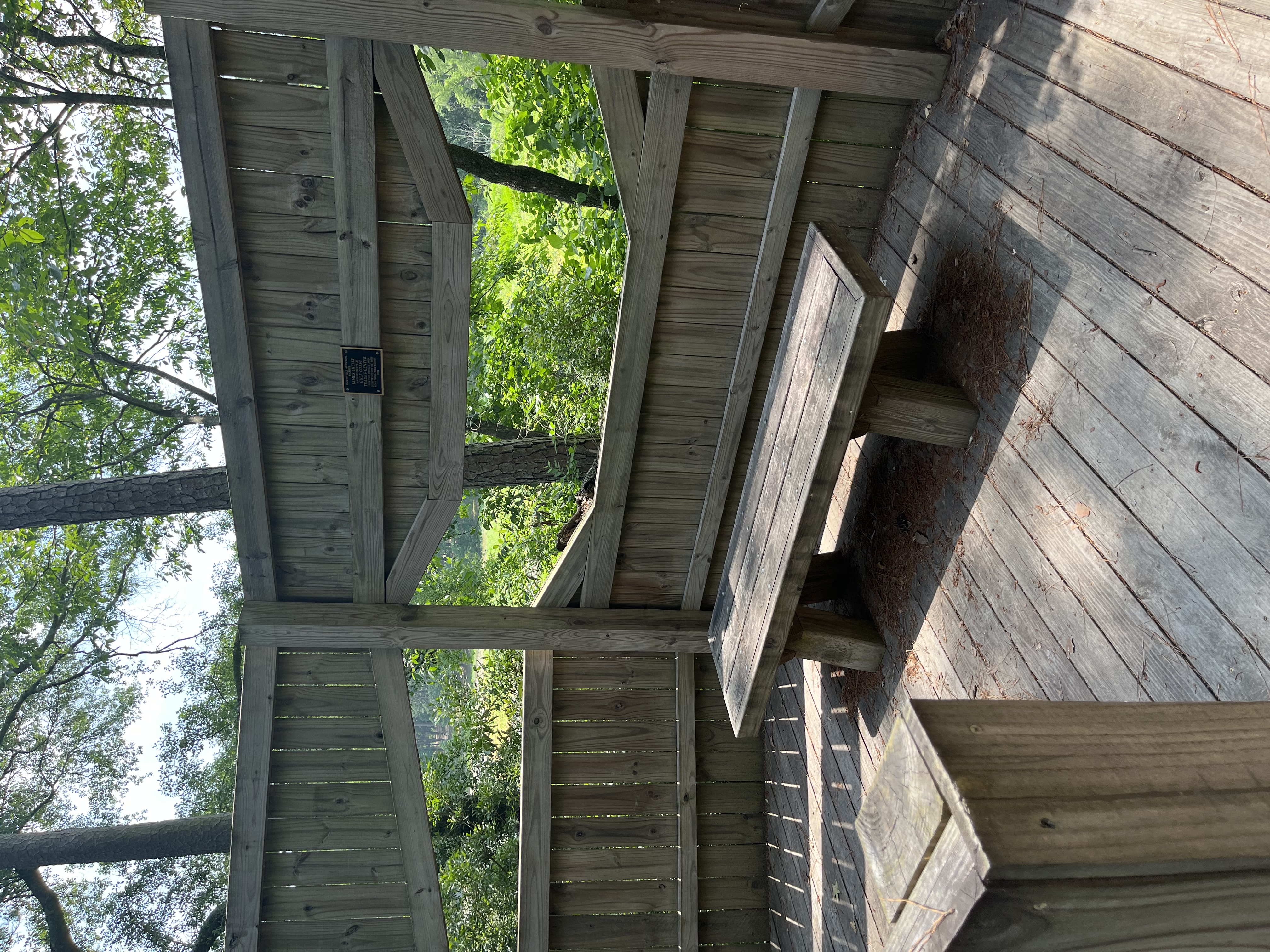 Coloneh Trail